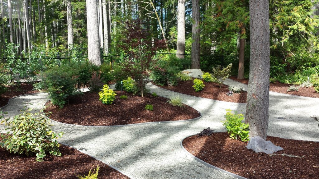 Landscape designed path through the trees in Port Orchard, WA