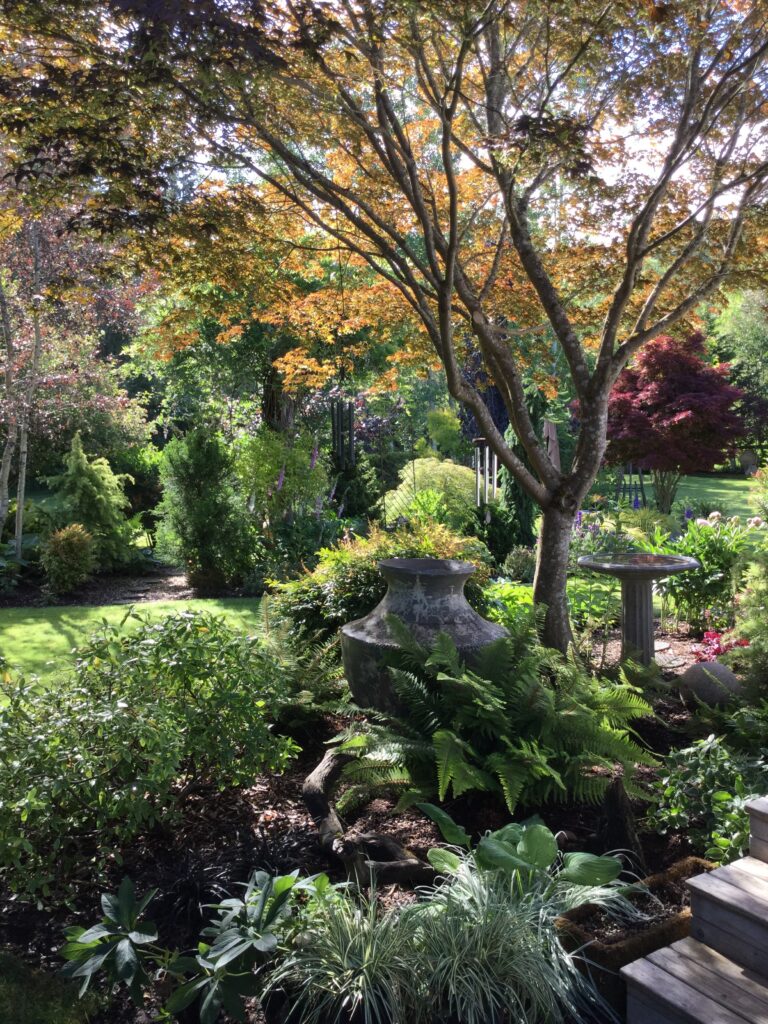 Backyard plantings with mixed elements in Gig Harbor, WA