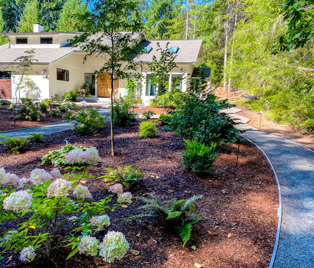 Planting islands with crushed rock path in Gig Harbor, WA
